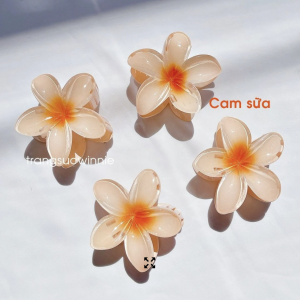 Kẹp hoa sứ cam